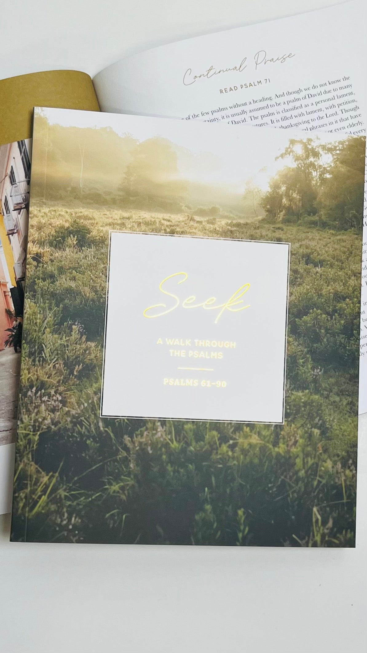 Seek | A Walk Through Psalms 61-90