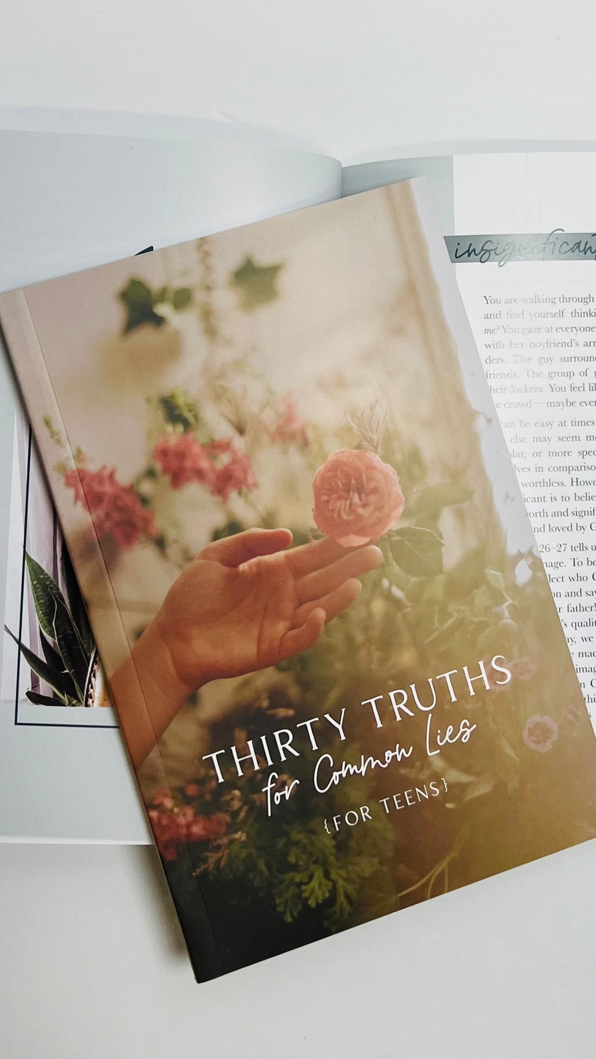 Thirty Truths for Common Lies for Teens