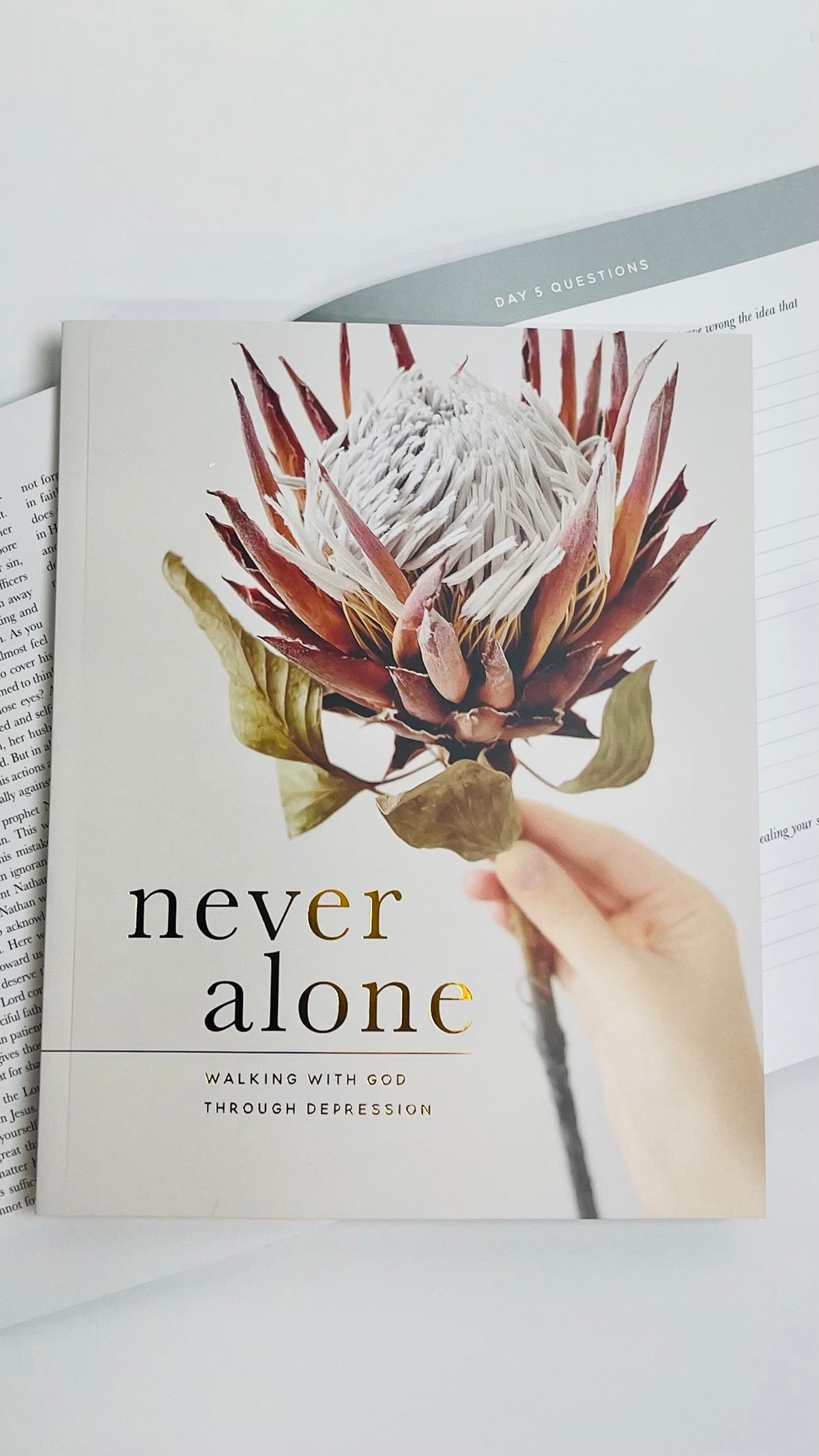 Never Alone | Walking With God Through Depression