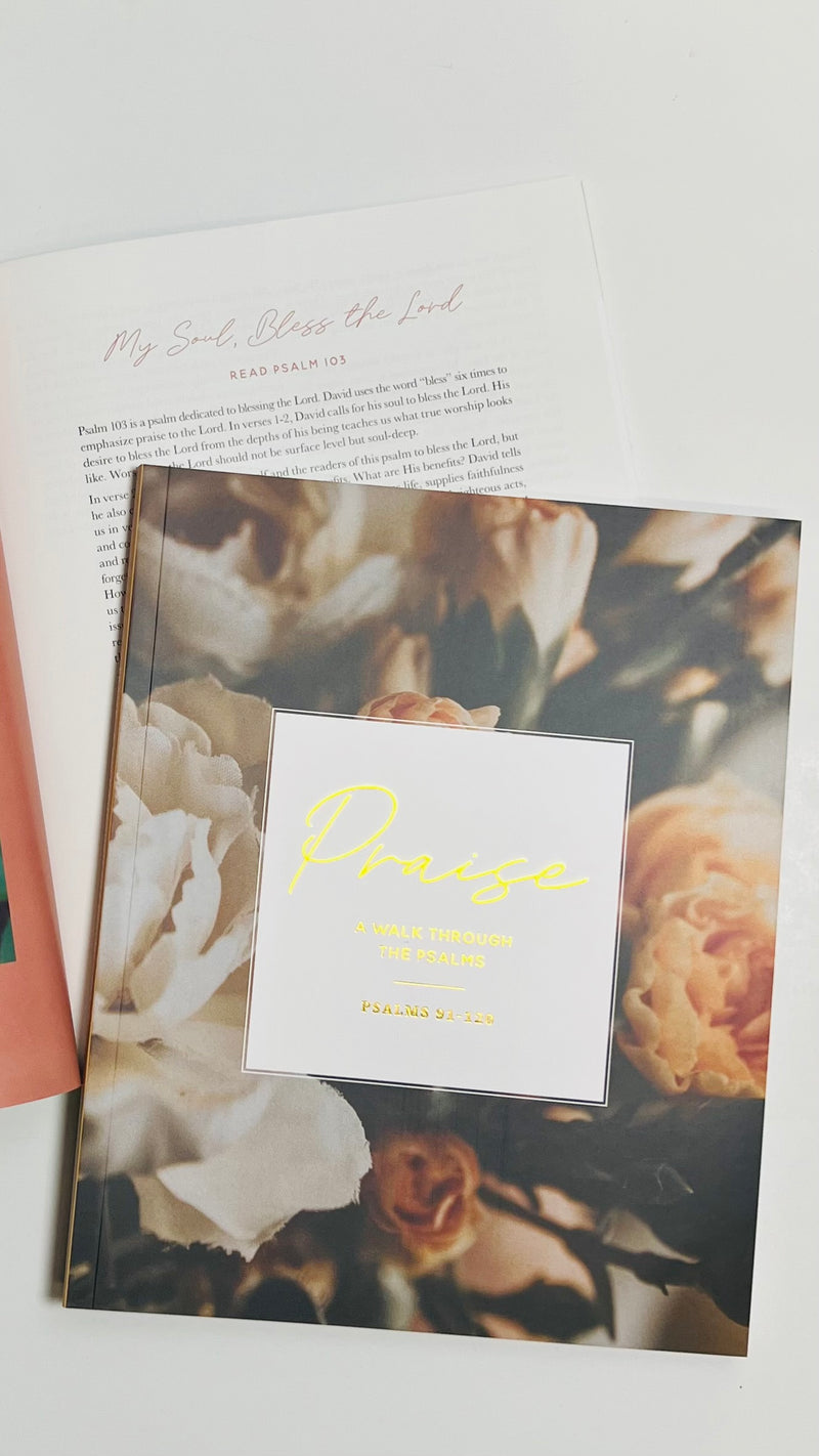 Praise Bible Study | Psalms 91 -120