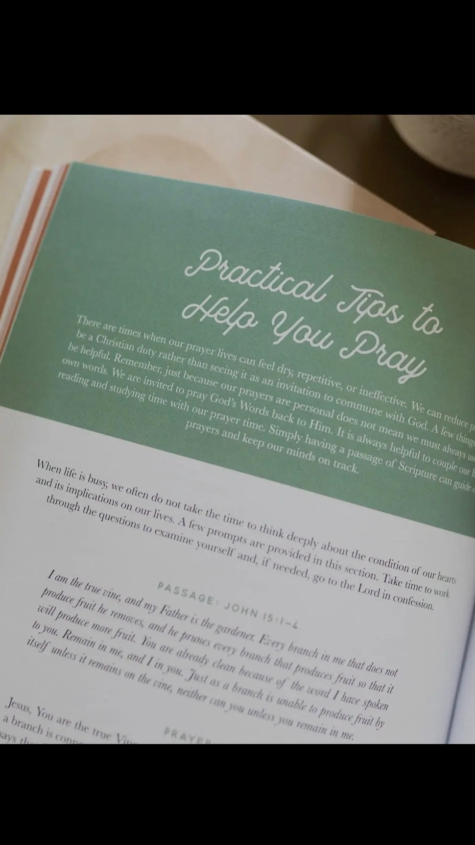 Growing in Grace Study