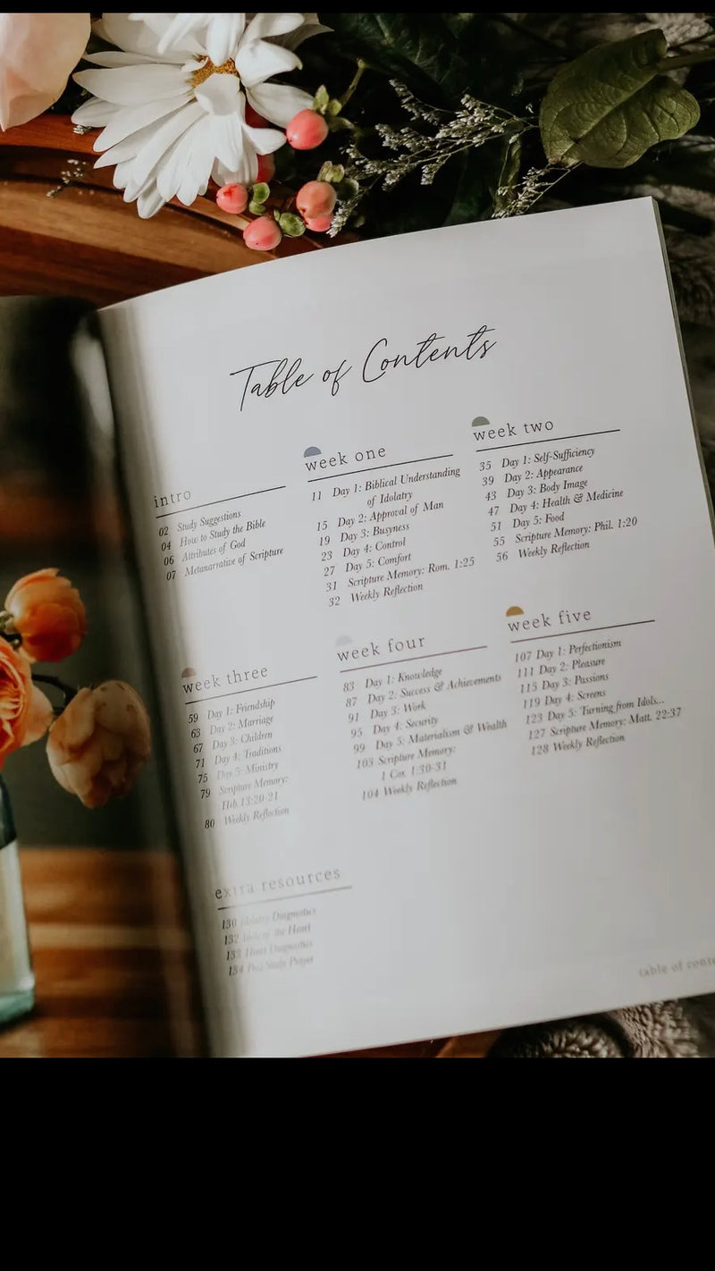 More Than Anything Bible Study